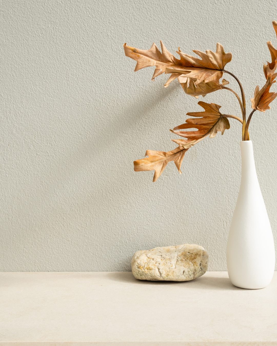 Curated Finds